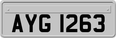 AYG1263