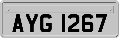 AYG1267