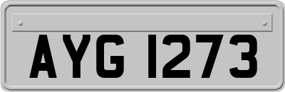 AYG1273