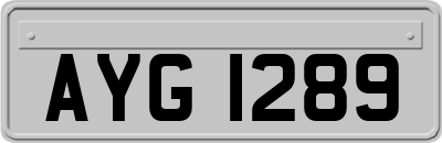 AYG1289