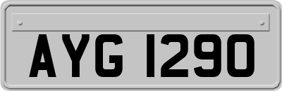 AYG1290