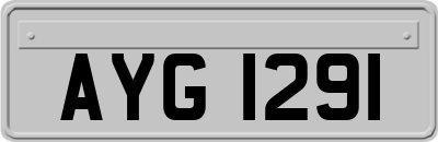 AYG1291