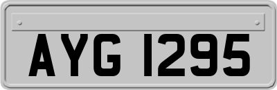 AYG1295