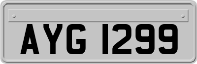 AYG1299