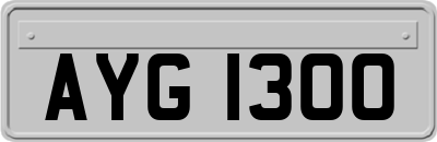 AYG1300