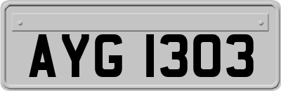 AYG1303