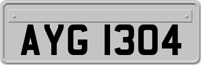 AYG1304