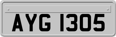 AYG1305