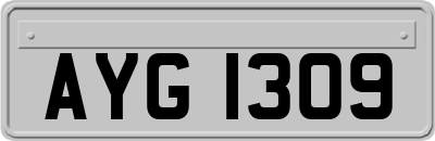 AYG1309