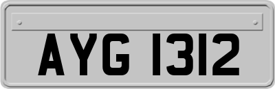 AYG1312