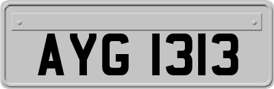 AYG1313