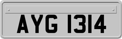 AYG1314