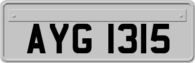 AYG1315