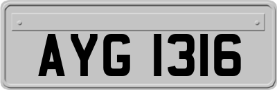 AYG1316