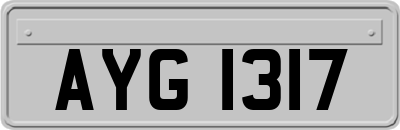 AYG1317