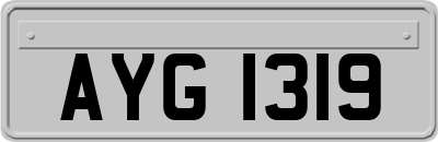 AYG1319