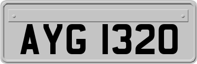 AYG1320