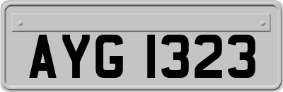 AYG1323