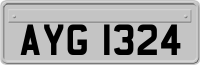 AYG1324