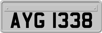 AYG1338