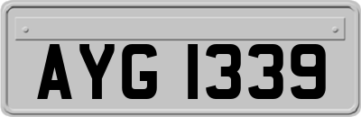 AYG1339