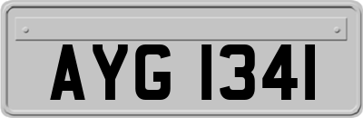 AYG1341