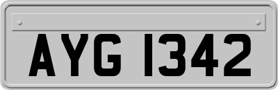 AYG1342