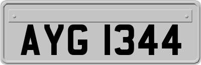 AYG1344