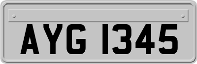 AYG1345