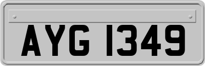 AYG1349