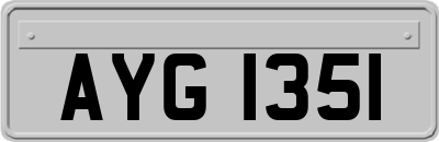 AYG1351