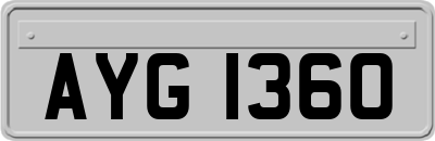 AYG1360