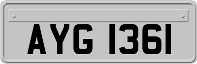 AYG1361