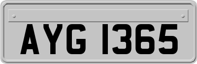 AYG1365