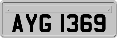 AYG1369