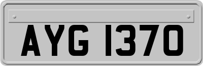 AYG1370