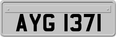 AYG1371