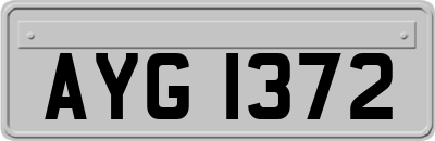 AYG1372