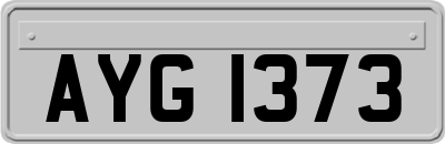 AYG1373