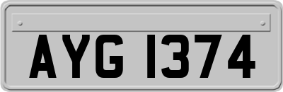 AYG1374