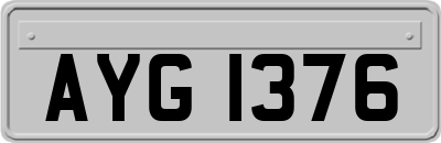 AYG1376