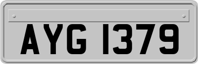 AYG1379