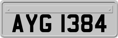 AYG1384