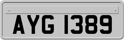 AYG1389