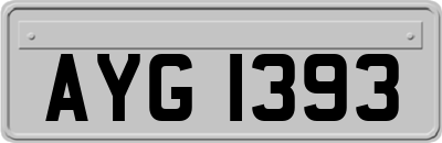 AYG1393
