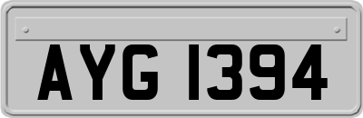 AYG1394