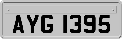 AYG1395