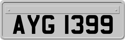 AYG1399