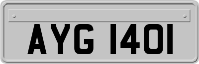 AYG1401