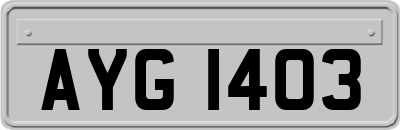 AYG1403